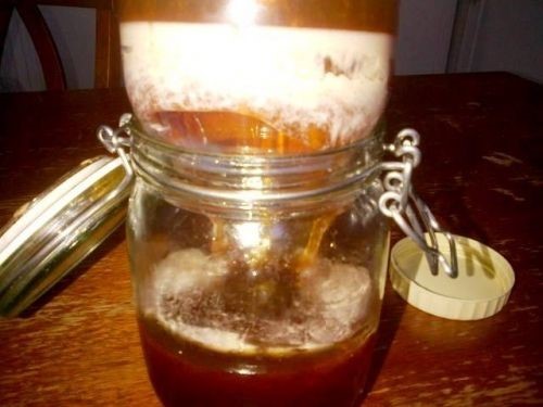  Honey Bear Pinnacle Ridge Raleigh NC